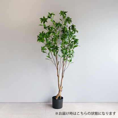 【大型フェイクグリーン】アセビ 150cm