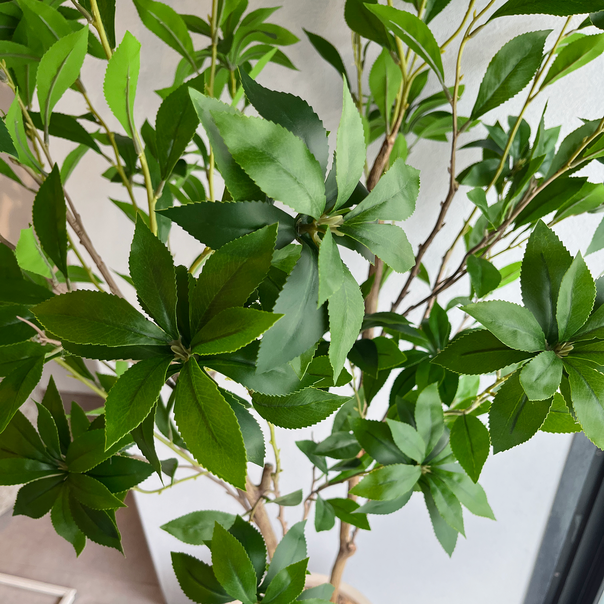 アセビ 150cm- フェイクグリーン専用通販サイト – フェイクグリーン アセビ 150cm- フェイクグリーン専用通販サイト – フェイクグリーン