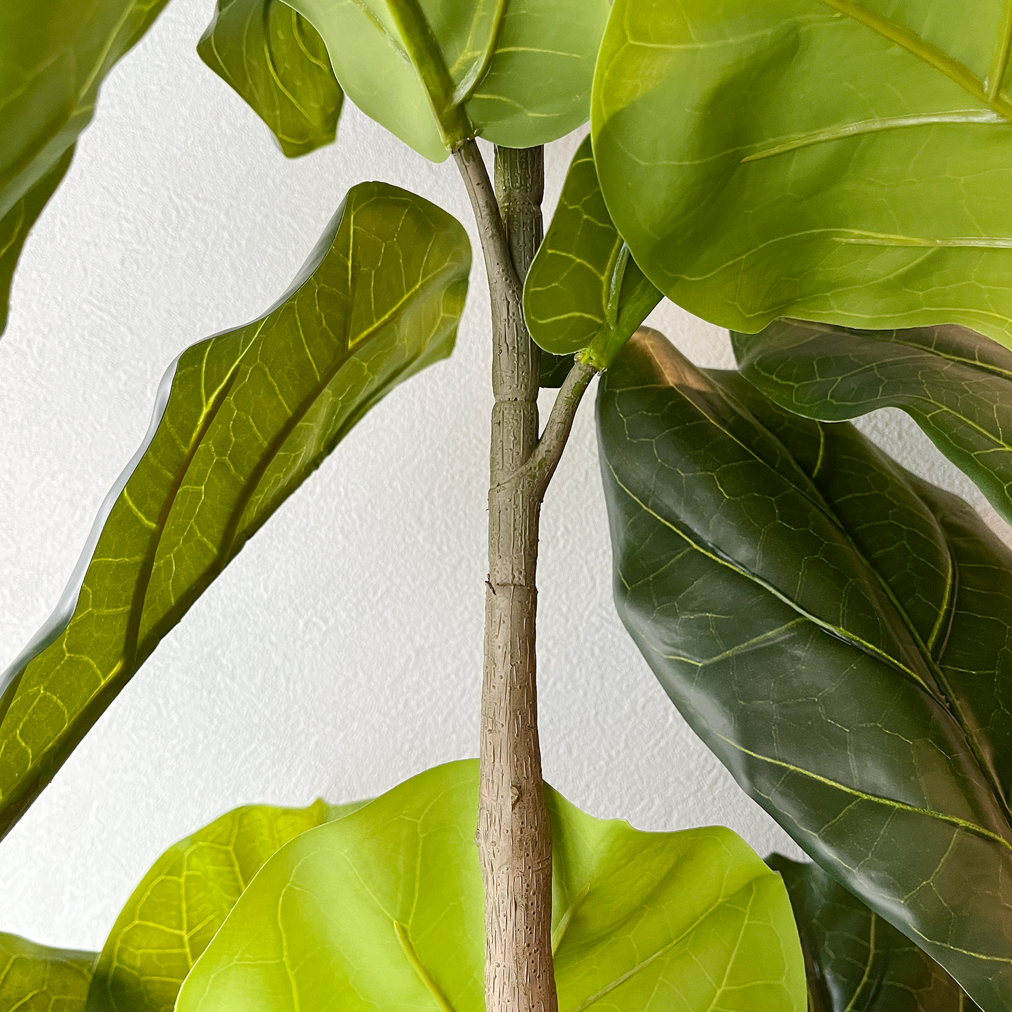 【大型フェイクグリーン】カシワバゴムの木 150cm