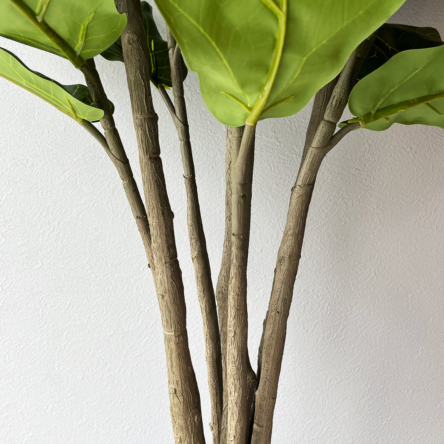 【大型フェイクグリーン】カシワバゴムの木 150cm