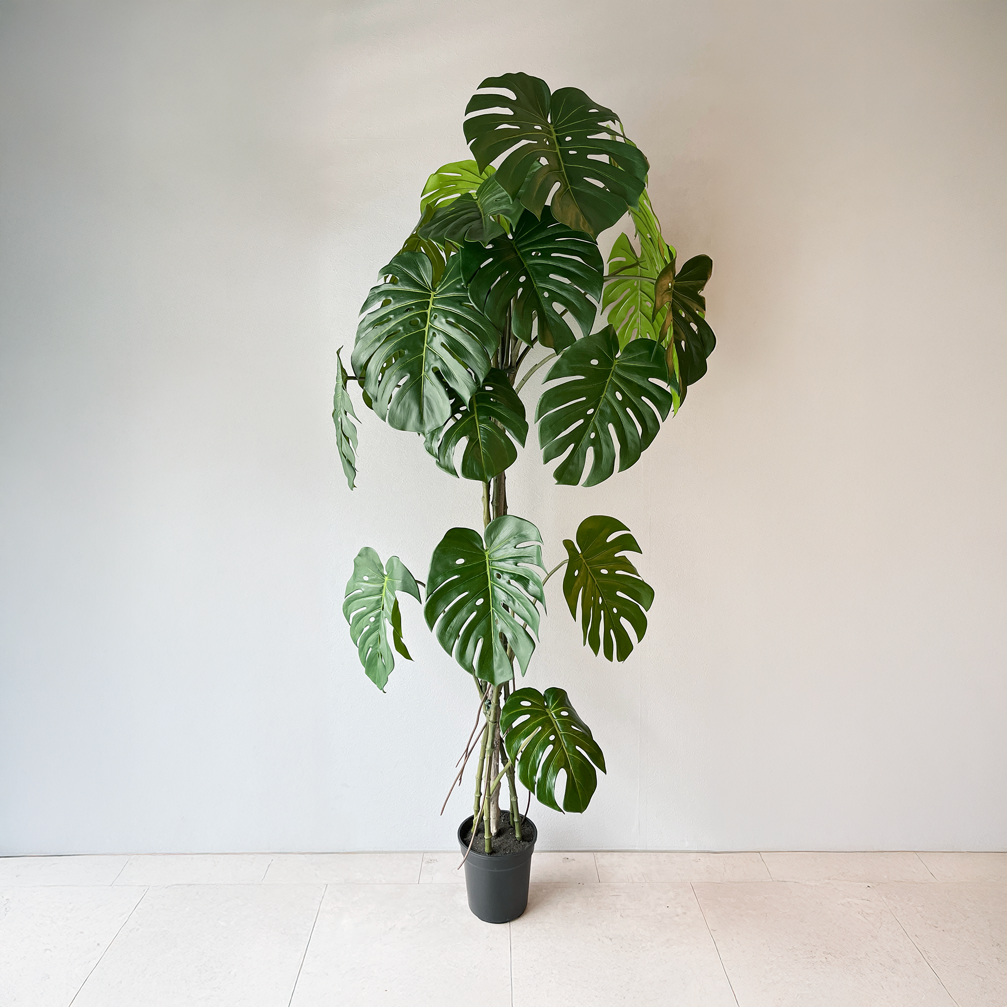 【大型フェイクグリーン】モンステラ グランデ 180cm