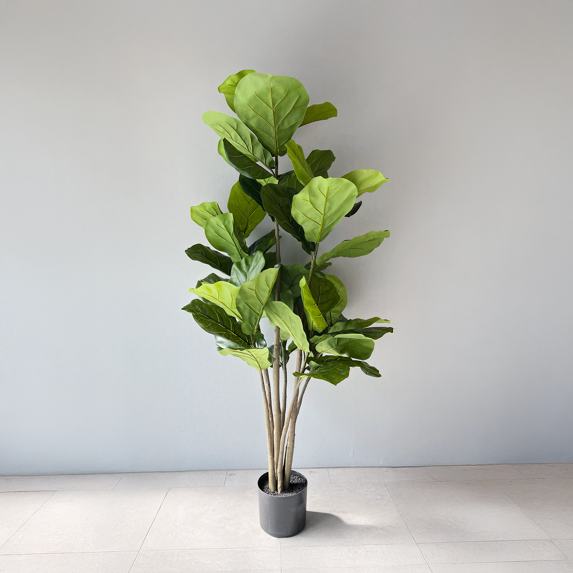 【大型フェイクグリーン】カシワバゴムの木 150cm