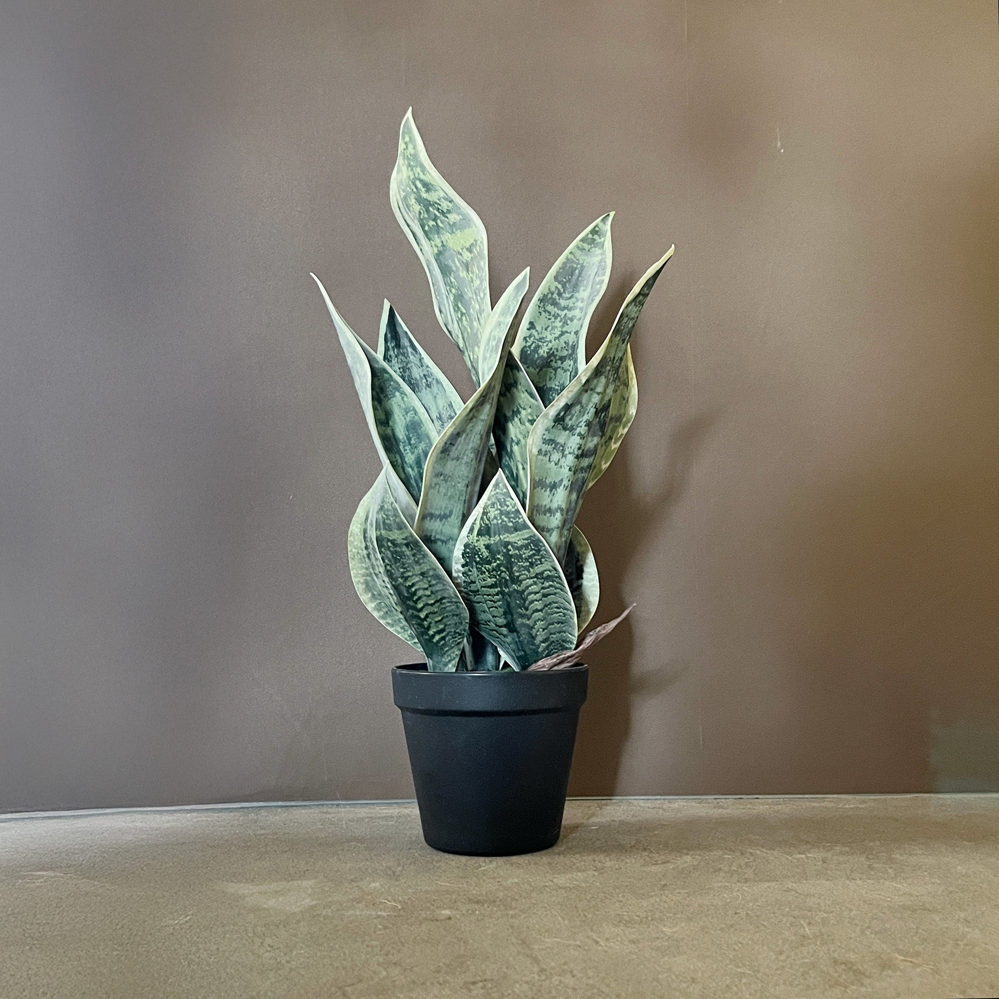 【フェイクグリーン】サンセベリア 45cm