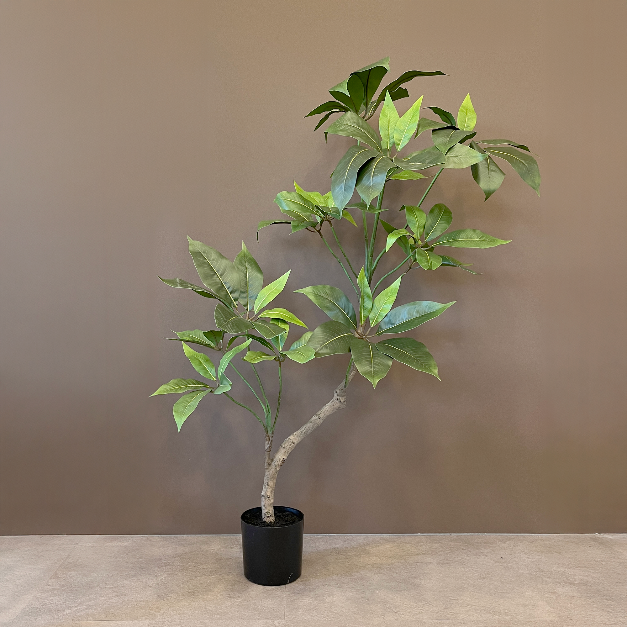 【大型フェイクグリーン】ツピタンサス 100cm
