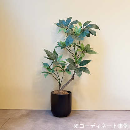ツピタンサス 100cm 11