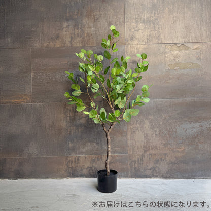 【大型フェイクグリーン】ユーカリ ナチュラルブランチ 115cm