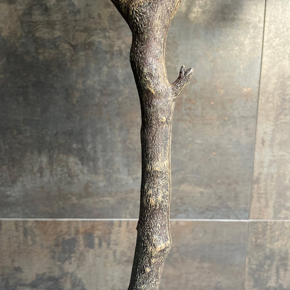 ユーカリ ナチュラルブランチ 115cm 10