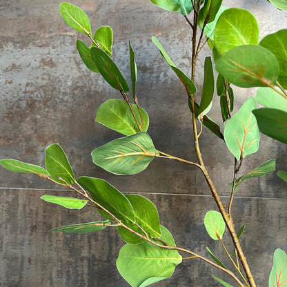 ユーカリ ナチュラルブランチ 115cm 3