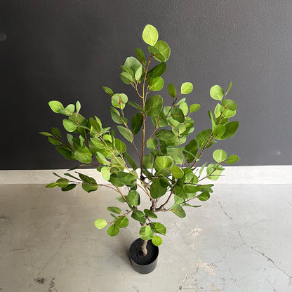 ユーカリ ナチュラルブランチ 115cm 8