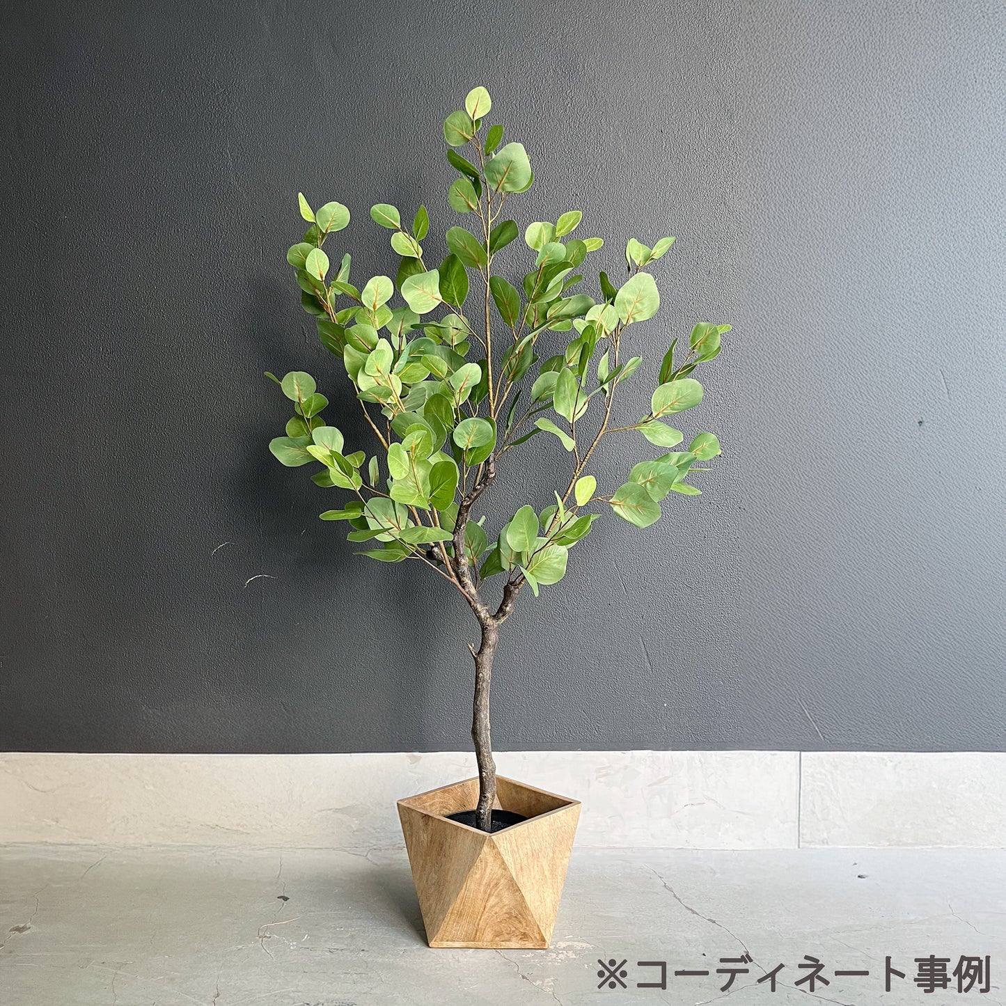 ユーカリ ナチュラルブランチ 115cm 12