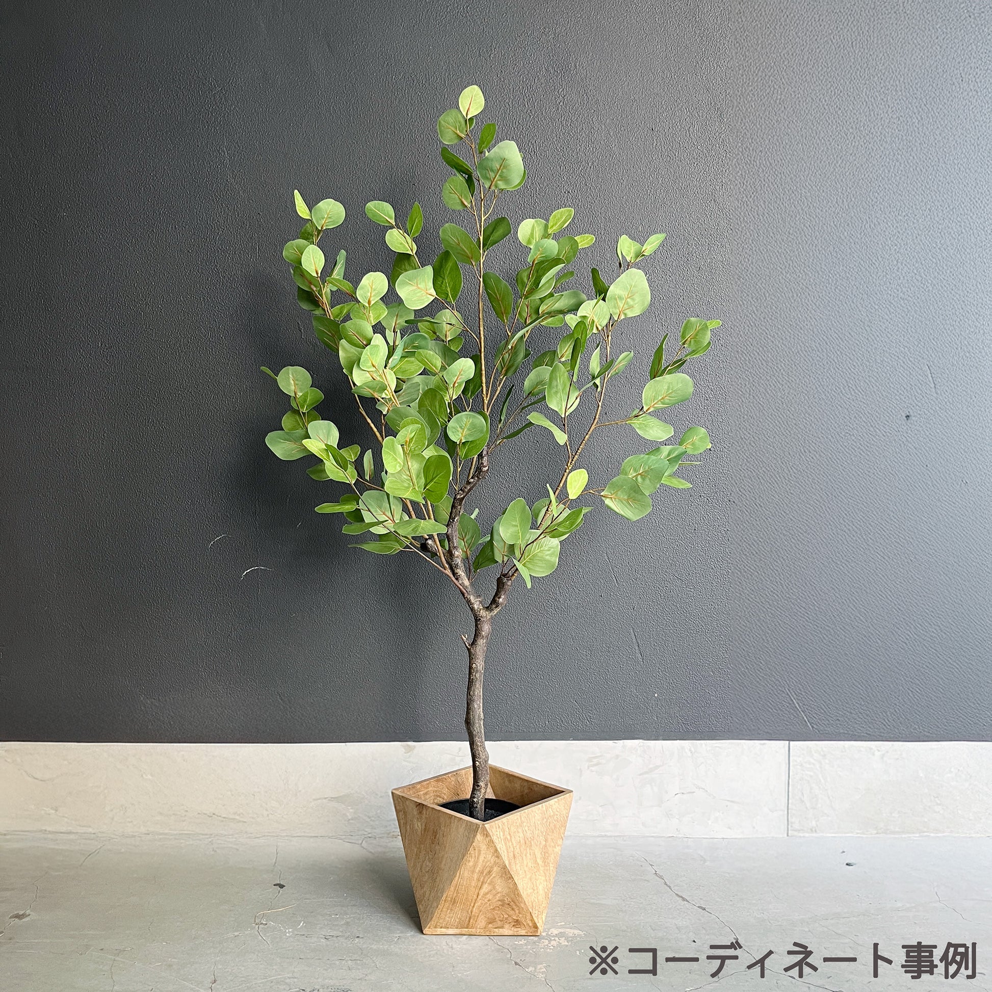 ユーカリ ナチュラルブランチ 115cm 12