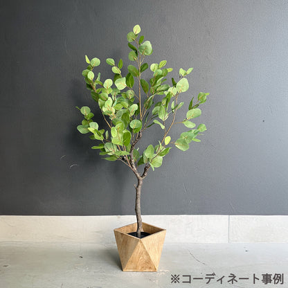ユーカリ ナチュラルブランチ 115cm 12