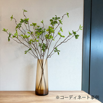 【枝物】ピットスポラム