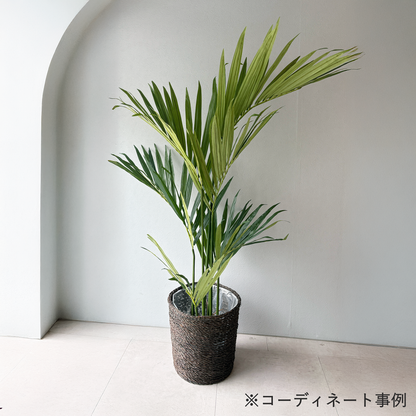 【大型鉢】バンブーバスケット 高さ32cm