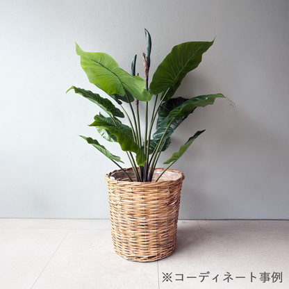 【大型鉢】ナチュラルラタンバスケット 高さ32cm