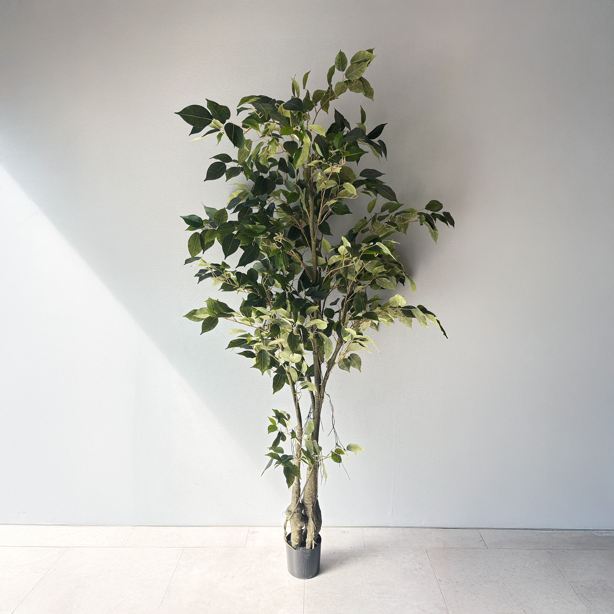 【大型フェイクグリーン】フィカス リアルウッド 152cm