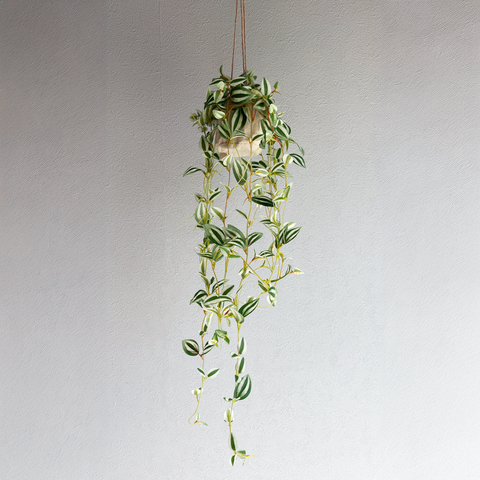【フェイクグリーン】ポトスジュートハンギング