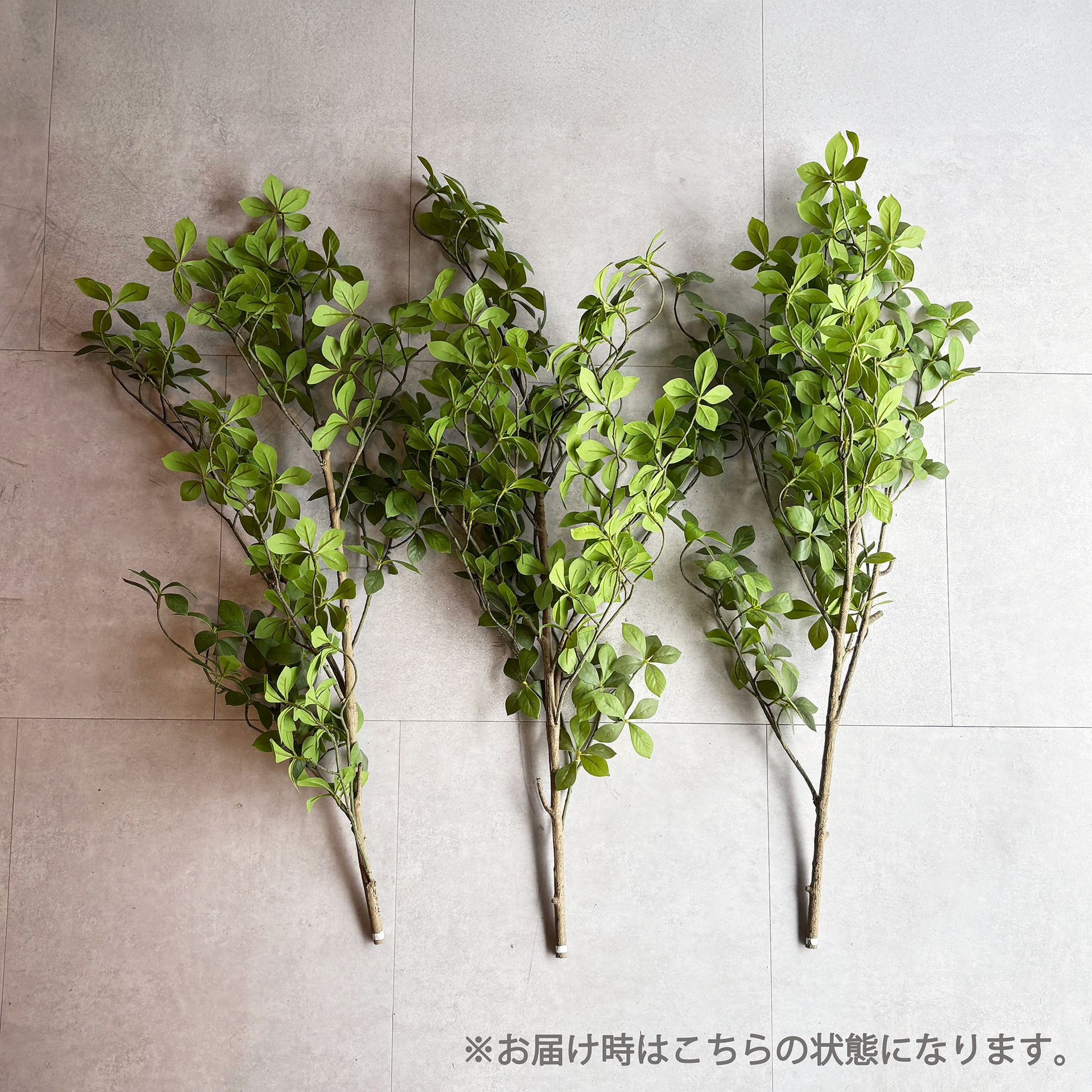 マダガスカルアーモンドツリー 175cm- フェイクグリーン専用通販サイト マダガスカルアーモンドツリー 175cm- フェイクグリーン専用通販サイト