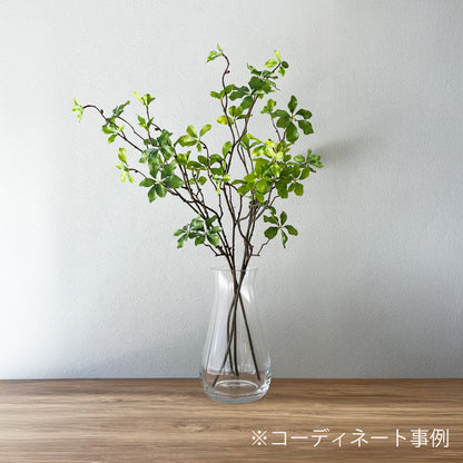【枝物】ピットスポラム