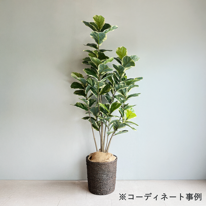 【大型鉢】バンブーバスケット 高さ32cm
