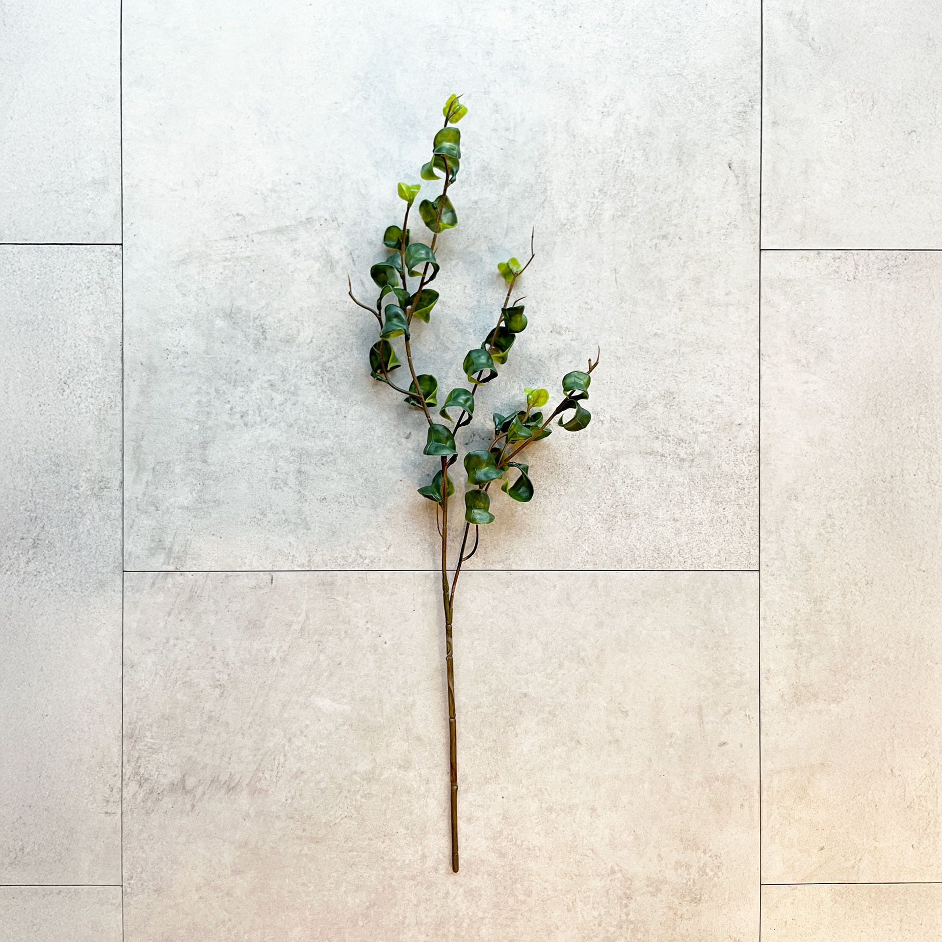 枝物】ベンジャミンバロック ブランチ- フェイクグリーン専用通販