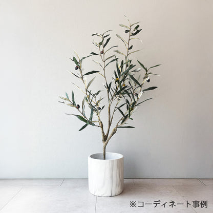olivetree-90cm8