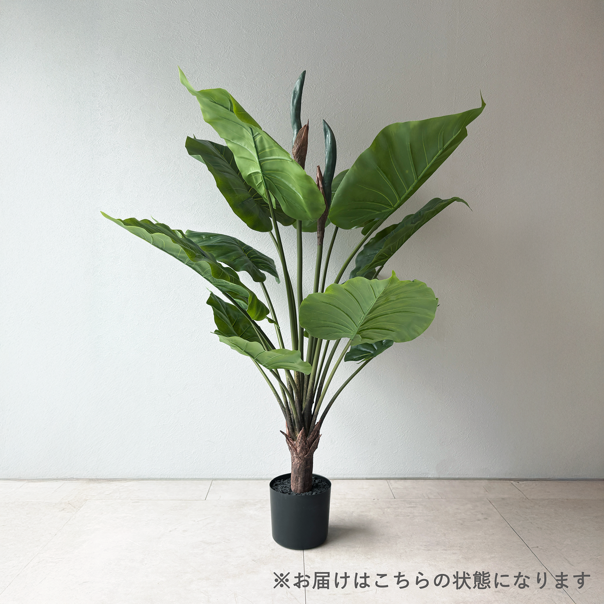 アロカシア 93cm- フェイクグリーン専用通販サイト – フェイクグリーン アロカシア 93cm- フェイクグリーン専用通販サイト – フェイクグリーン