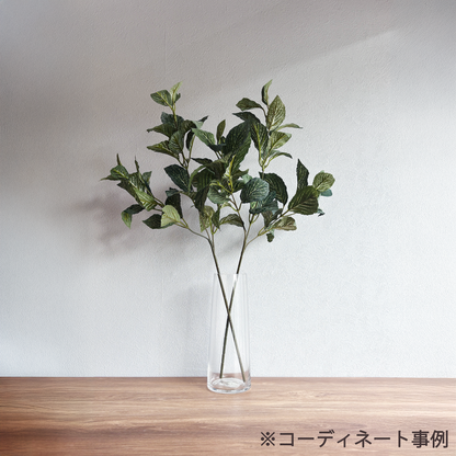 アミメグサ・ヴェールブランチ７