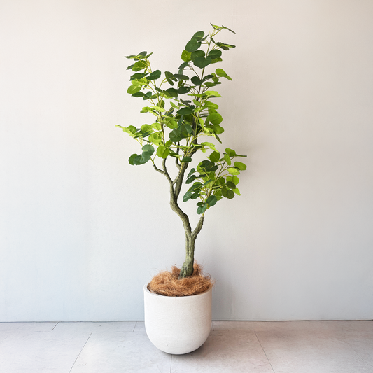 M(150~185cm) - 人工観葉植物専門通販サイト – フェイクグリーン M(150~185cm) - 人工観葉植物専門通販サイト – フェイクグリーン