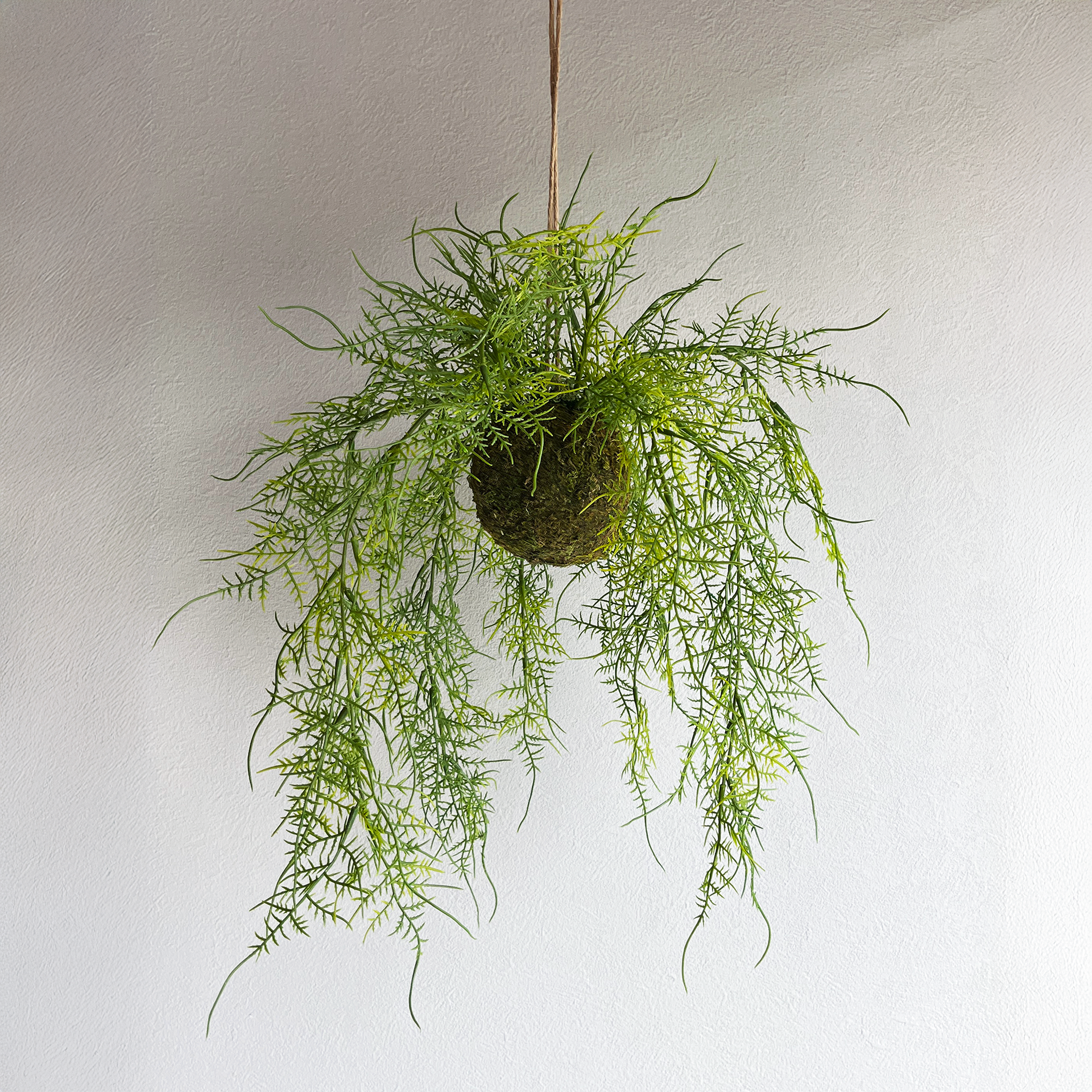 asparagus-mossball-atelier-