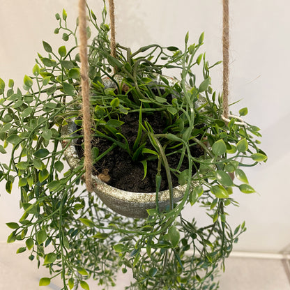 ベビーリーフハンギングの根本部分。土の質感や植え込みの様子まで丁寧に再現。