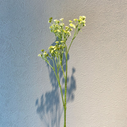 カスミソウ künstlicheを手に持ち、花部分をクローズアップした写真。繊細な小花が際立つ。