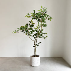 【大型フェイクグリーン】ベンジャミン・モデレートポット 120cm