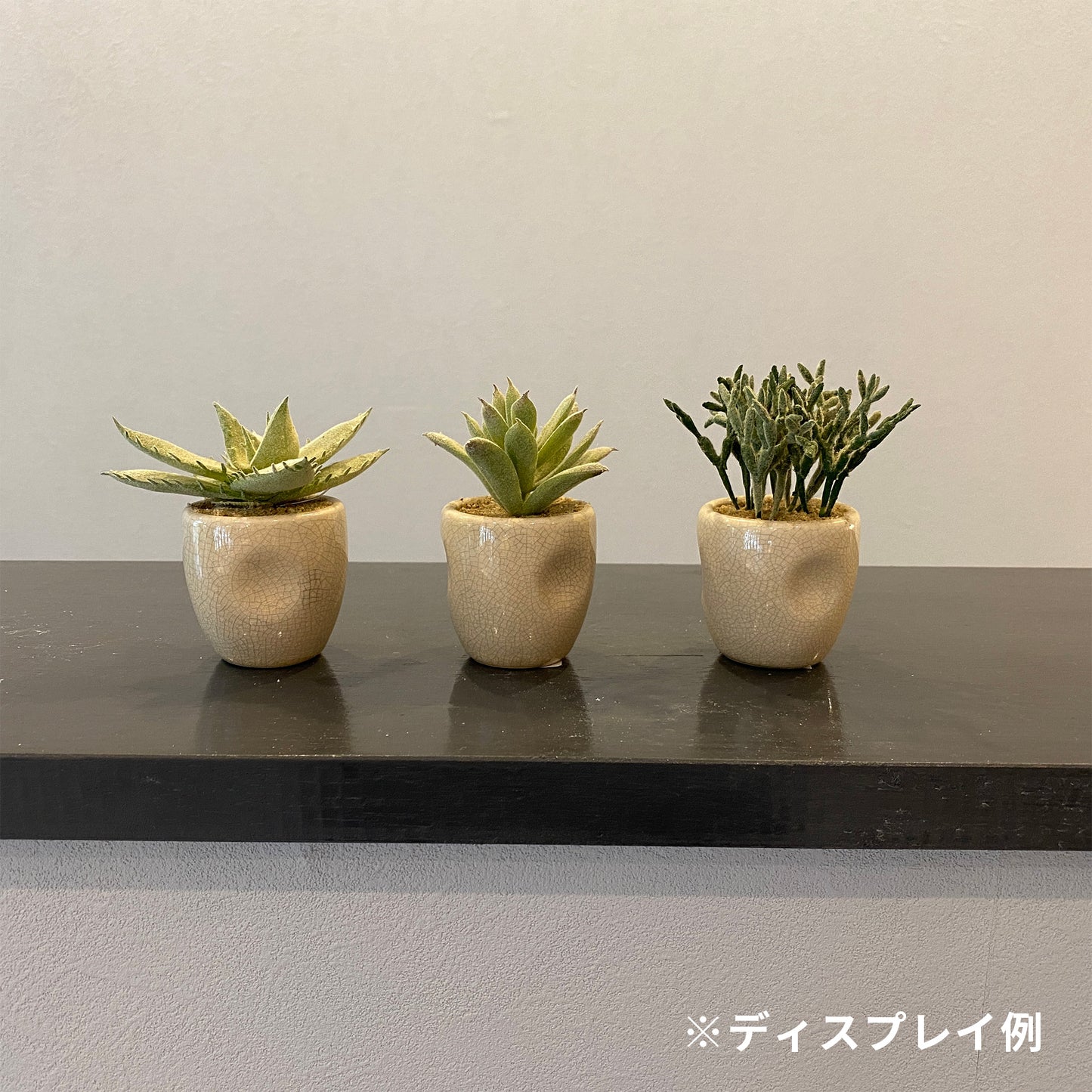 セラミックカクタス アソート künstlicheのインテリア例。3つ並べて飾ると、かわいらしいアクセントになります。