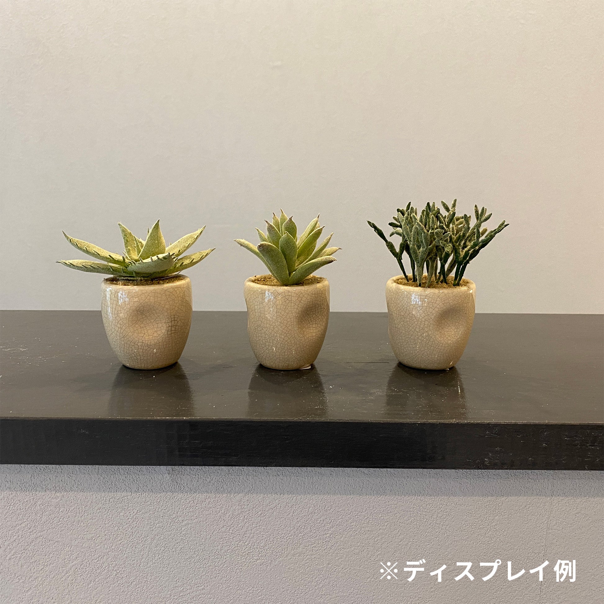 セラミックカクタス アソート künstlicheのインテリア例。3つ並べて飾ると、かわいらしいアクセントになります。