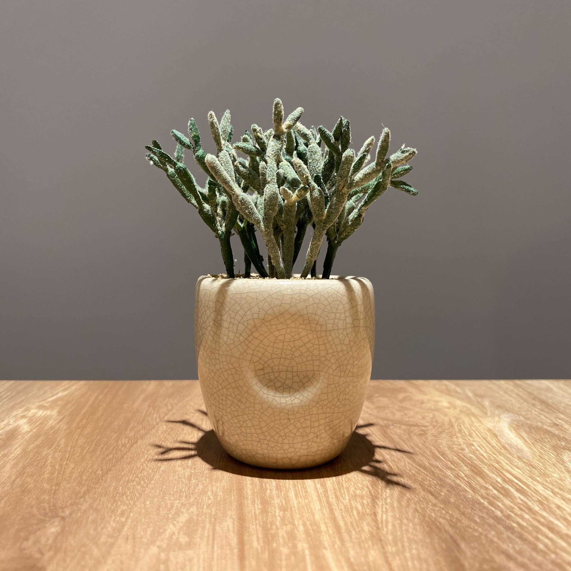 SALE20％off★大きいサイズ☆枯れないハンギングカクタス★フェイク セラミックカクタス アソート künstliche - フェイクグリーン専用通販