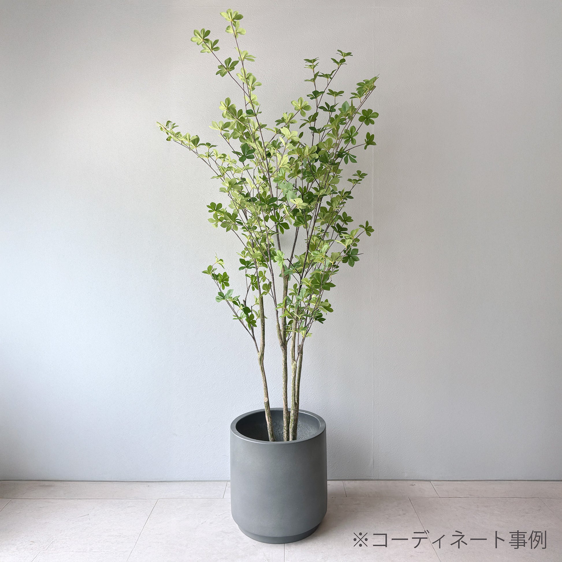 チャコールグレーシリンダーポットデザイン