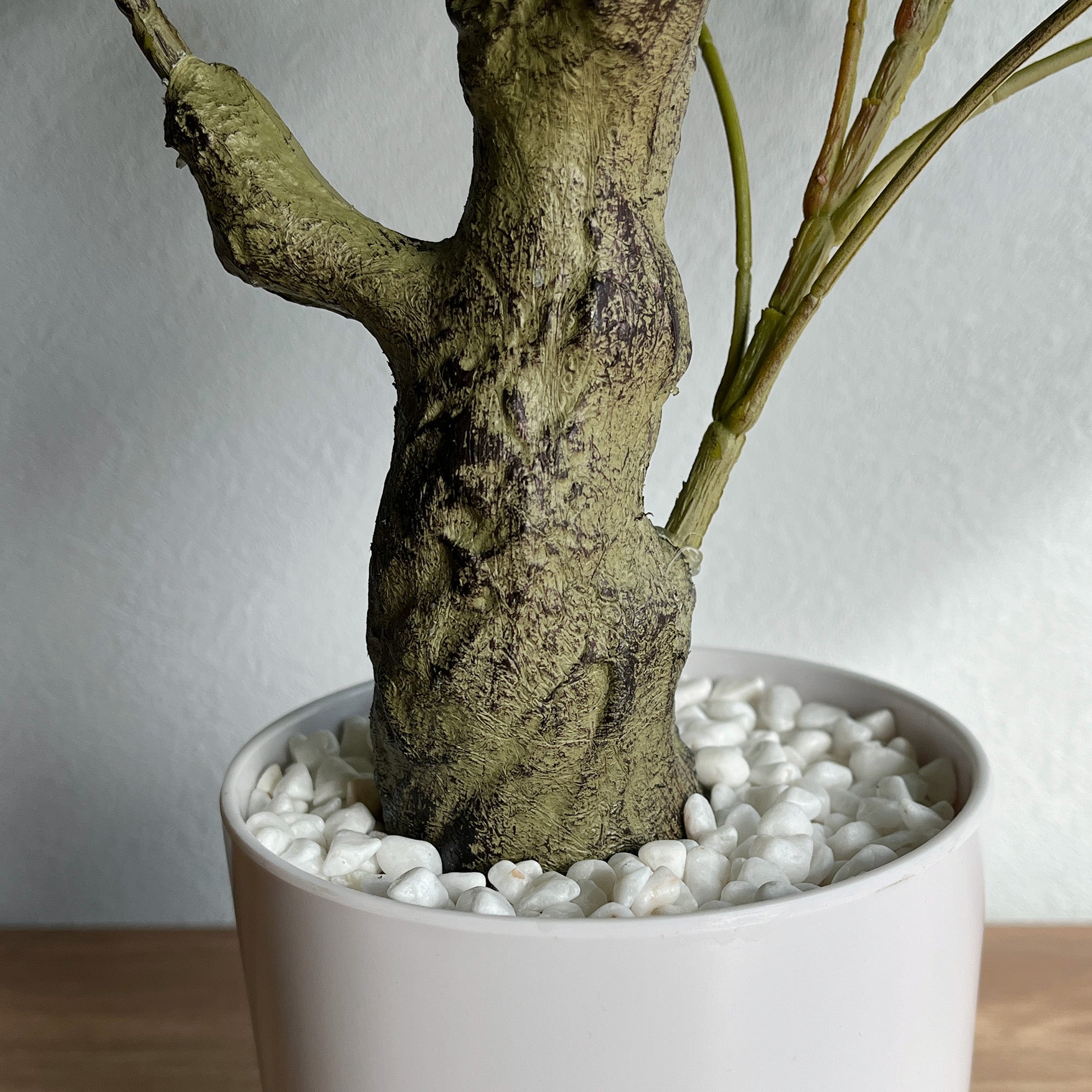 クラシックブラキキトン ホワイトポット- フェイクグリーン専用通販