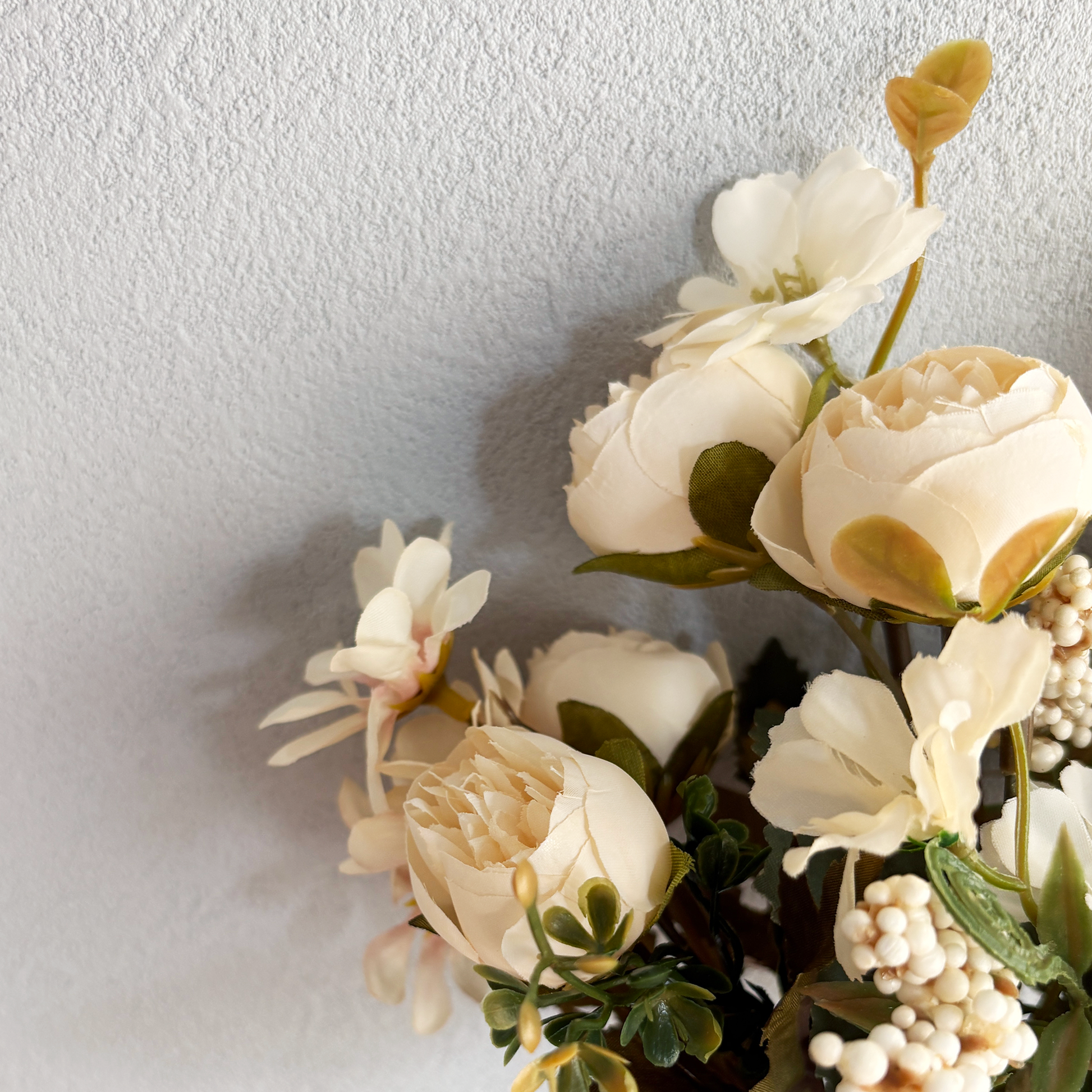 デイジー＆ローズクリームブッシュ6