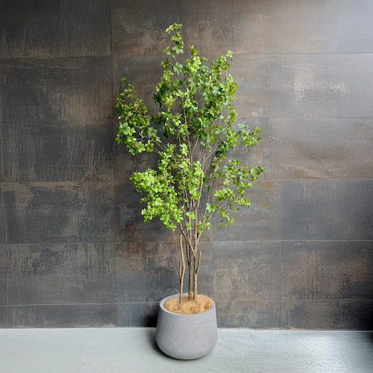 ドウダンツツジ リアルブランチ 190cm 1