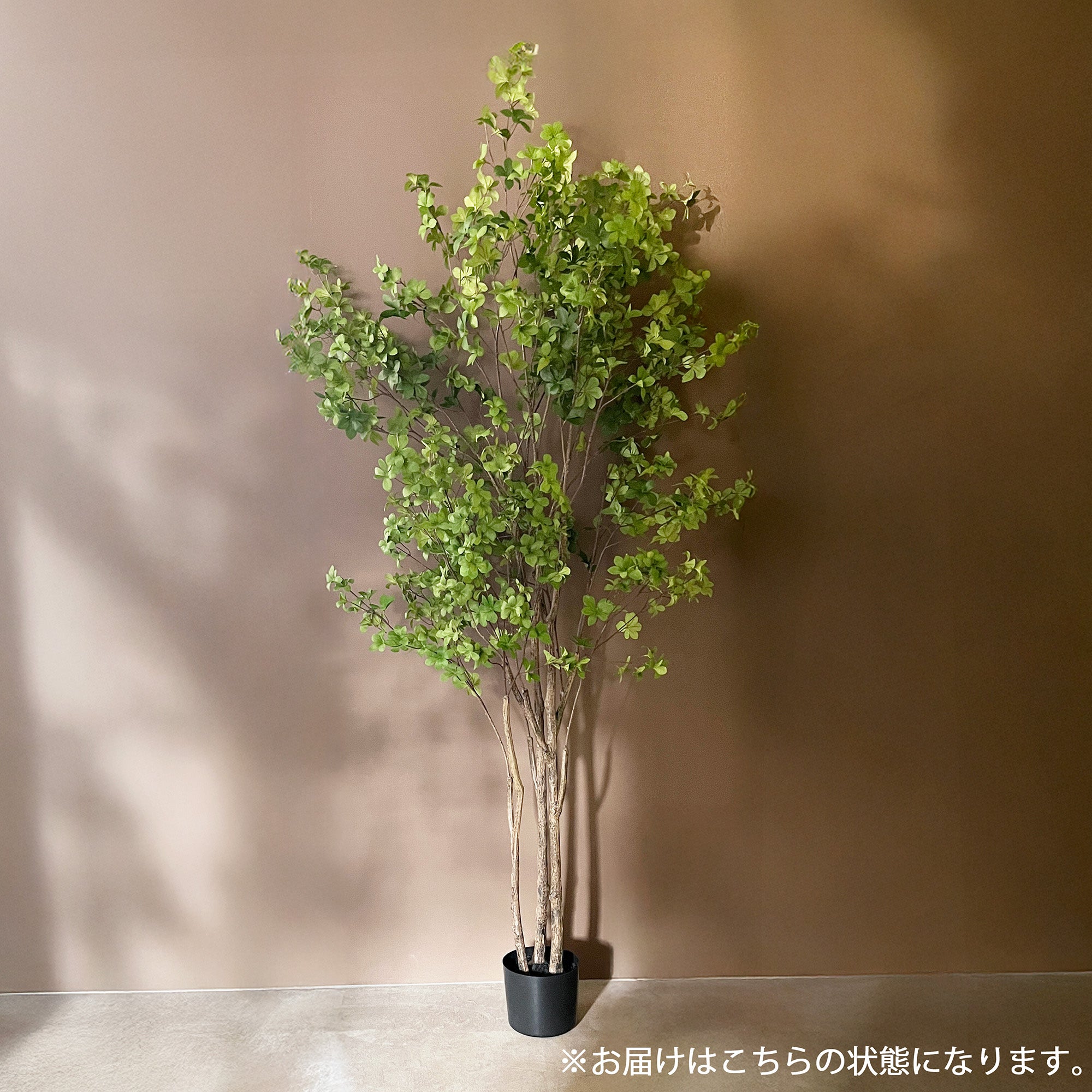 ドウダンツツジ リアルブランチ 190cm - フェイクグリーン専用通販