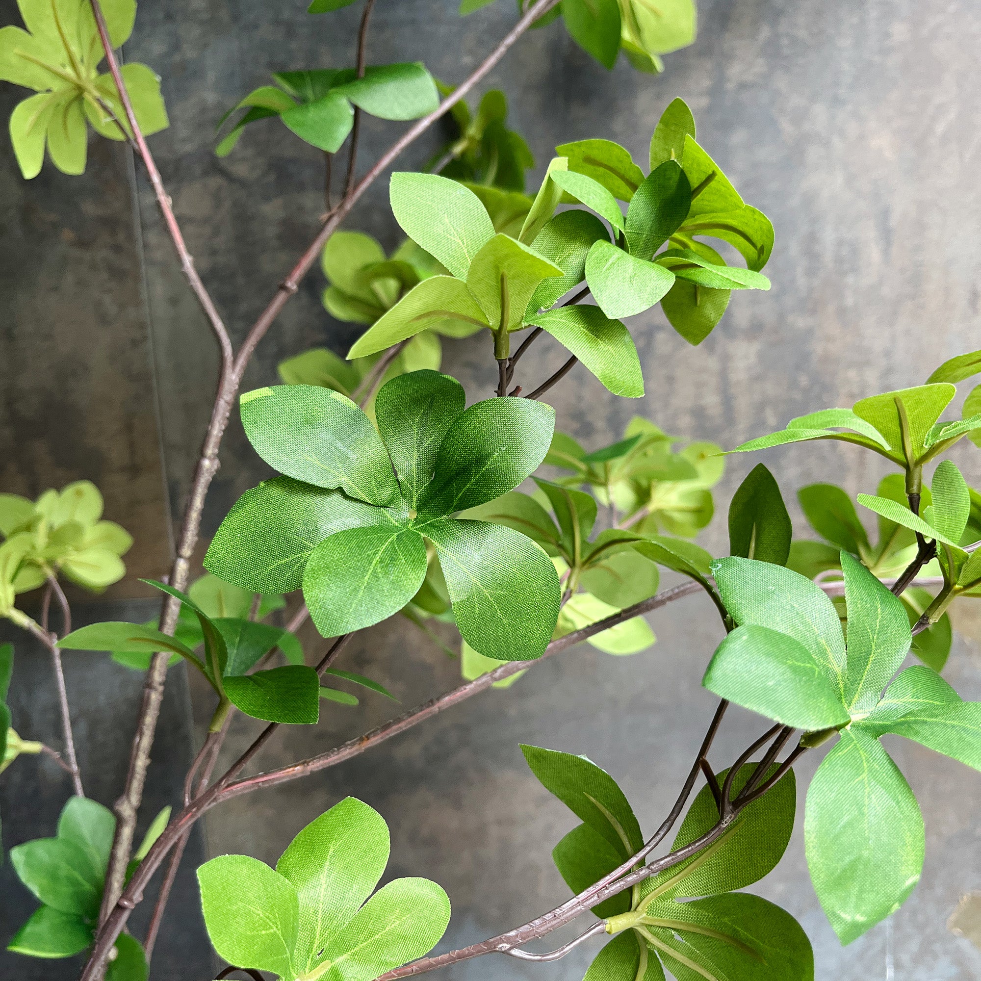 ドウダンツツジ リアルブランチ 190cm - フェイクグリーン専用通販