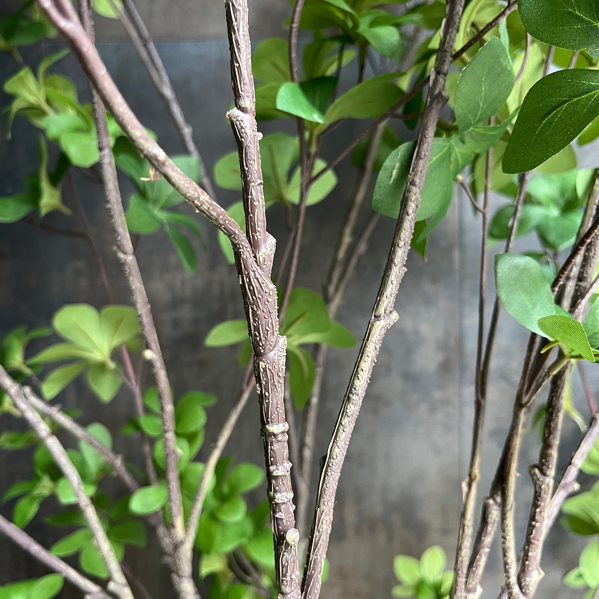 ドウダンツツジ リアルブランチ 190cm - フェイクグリーン専用通販