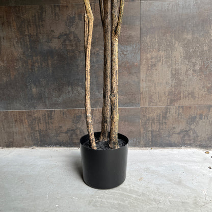 ドウダンツツジ リアルブランチ 190cm 8
