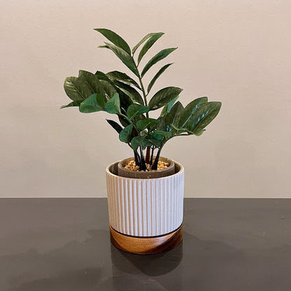 アーストーンポット グレー　コーディネート例　植物