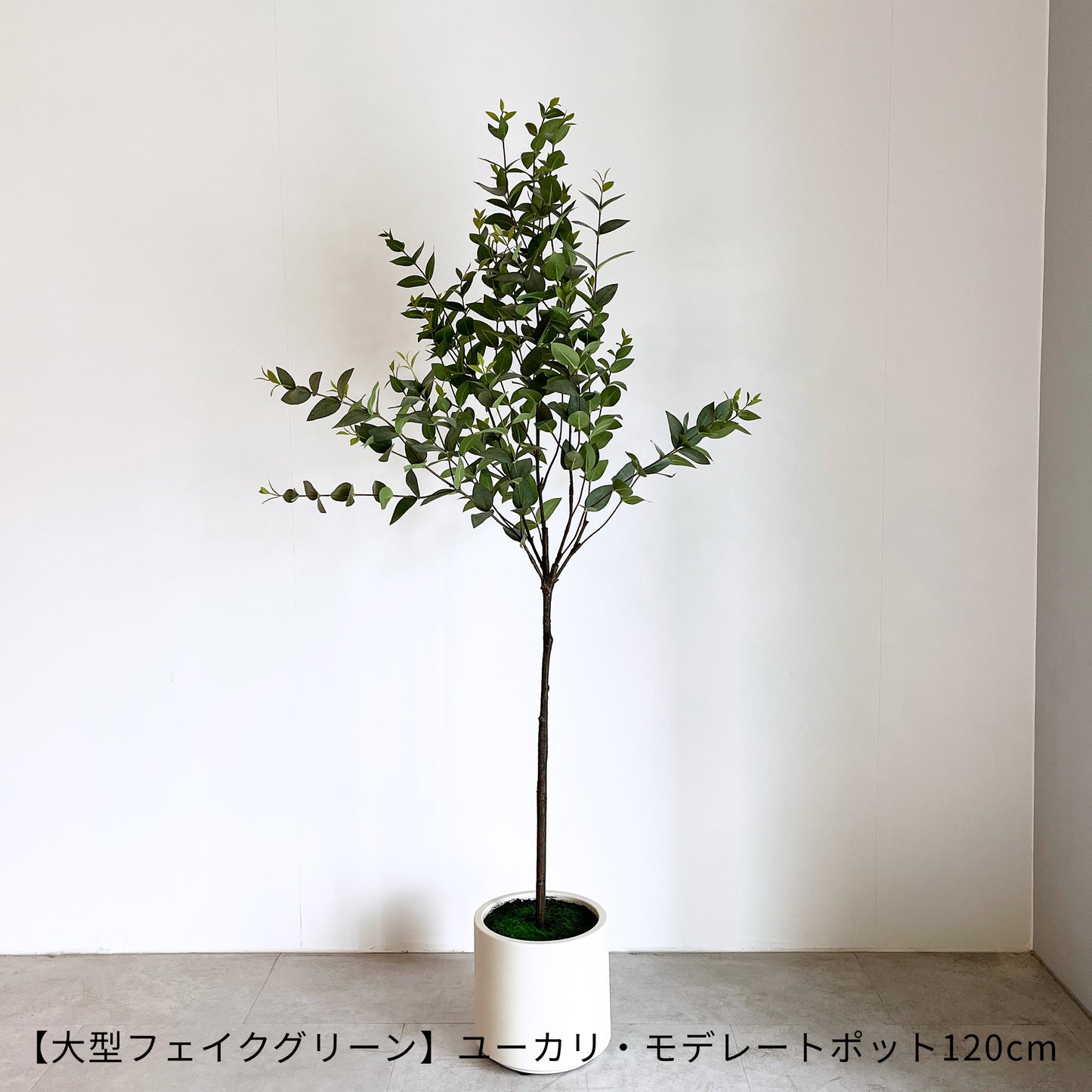 【ギフト】選べる！鉢付フェイクグリーン eギフトカタログ