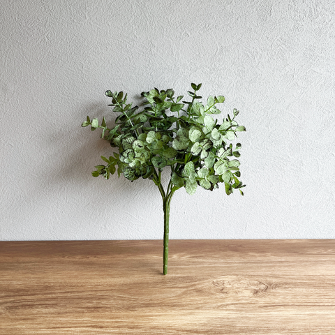 【枝物】ユーカリ・グリヴェールブッシュ