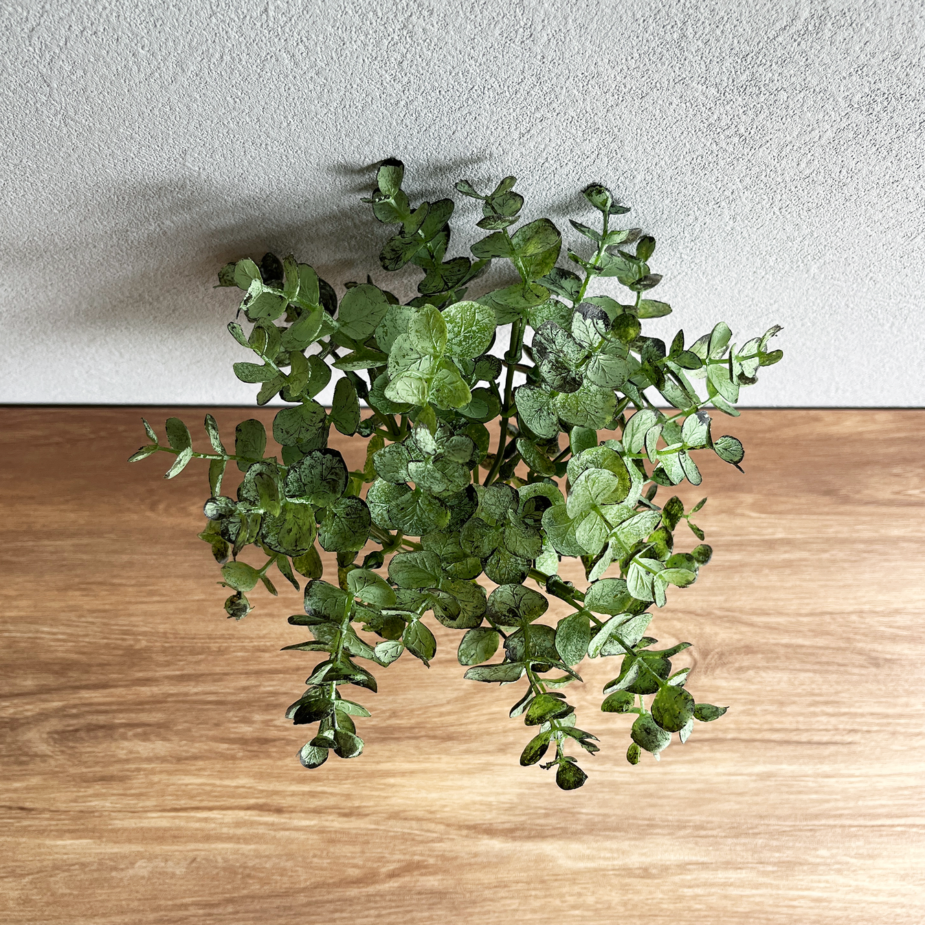 【枝物】ユーカリ & VASEセット(Coron Clay / マットホワイト) – フェイクグリーン専門店「& GARDEN」 公式 ...
