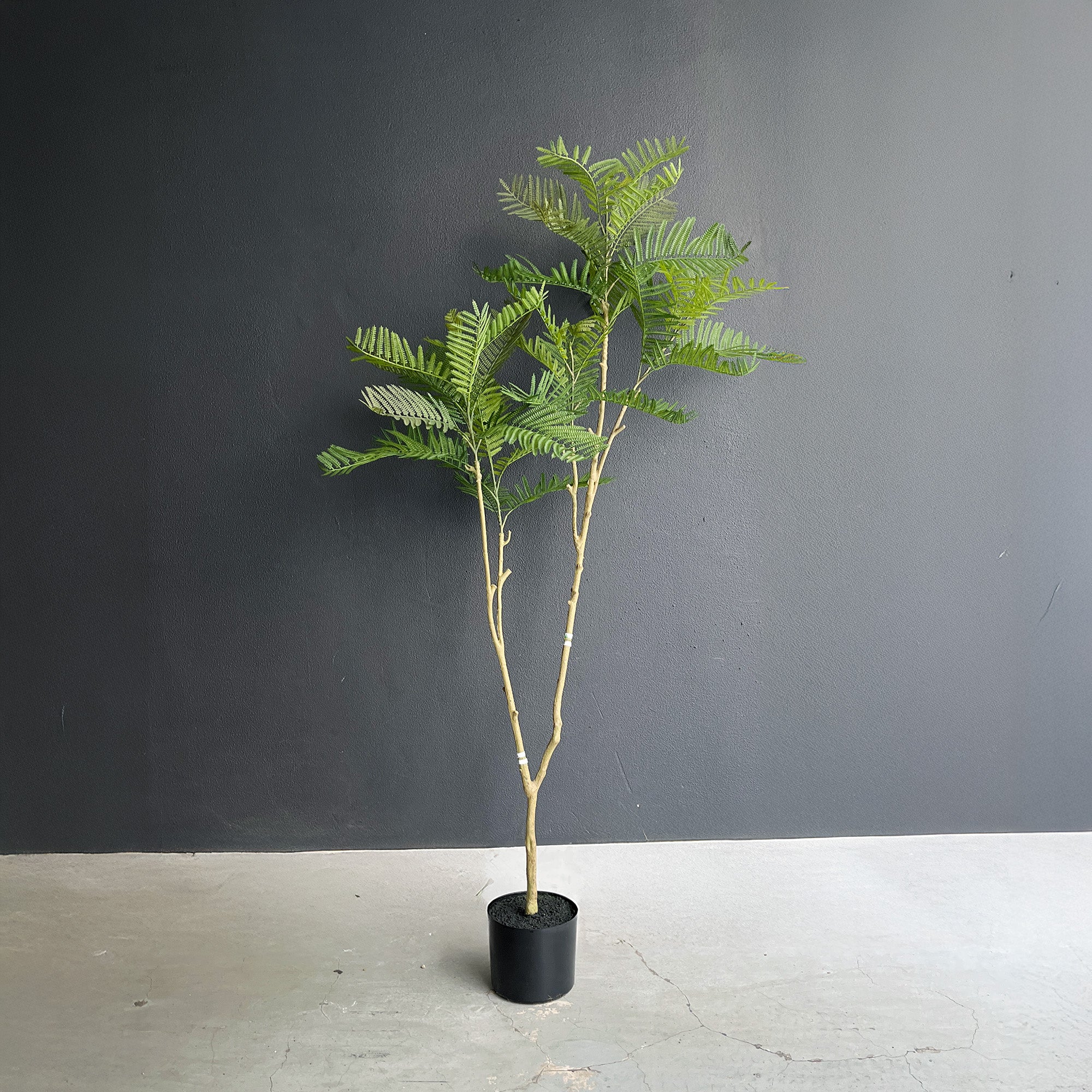 【大型フェイクグリーン】エバーフレッシュ 155cm