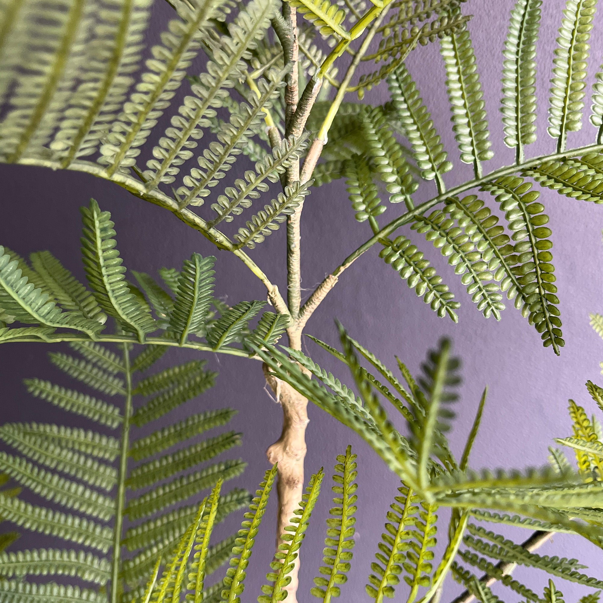 エバーフレッシュ 155cm- フェイクグリーン専用通販サイト – フェイク